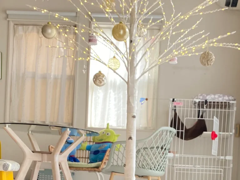 クリスマスツリーの写真