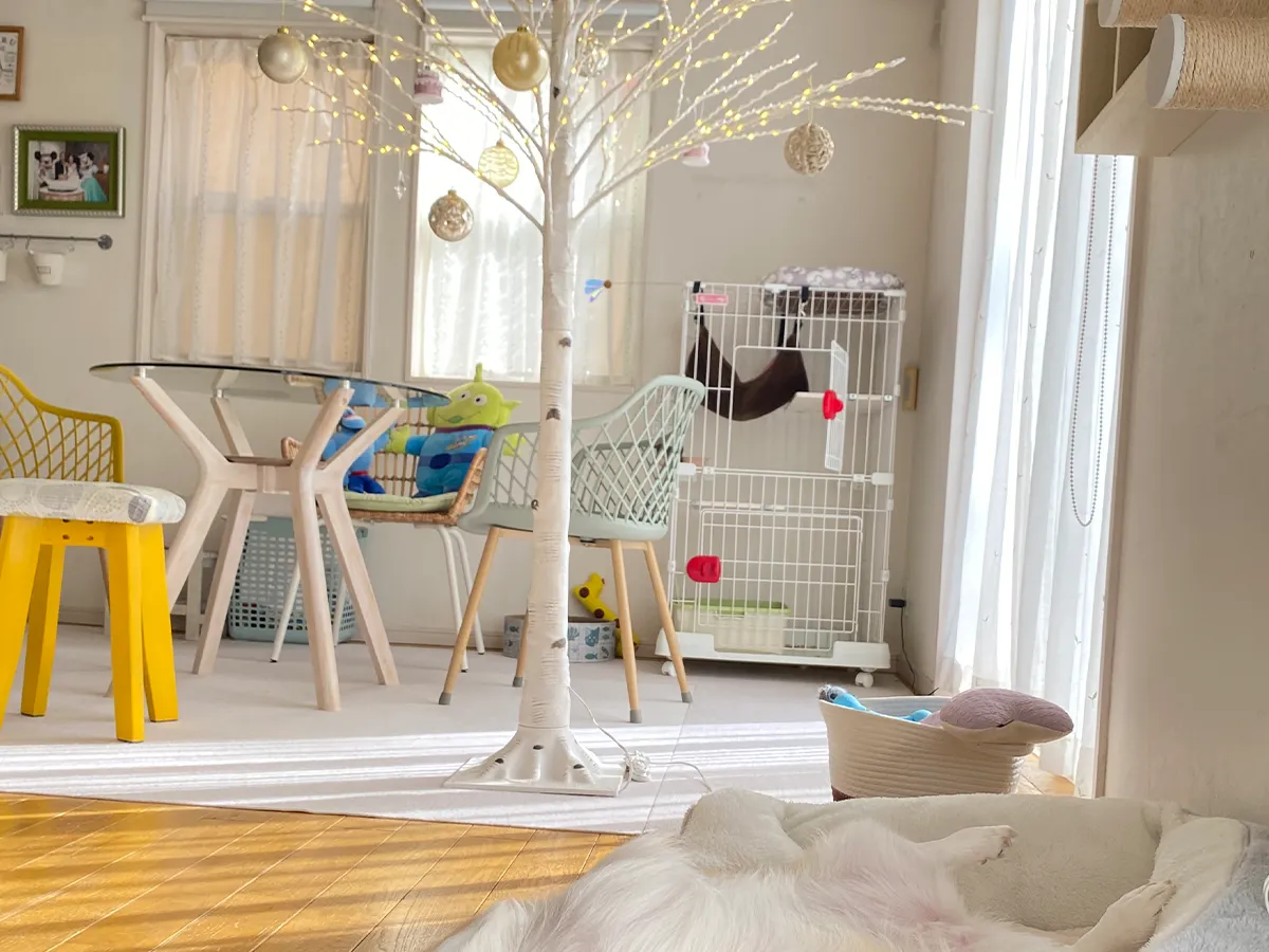 クリスマスツリーの写真