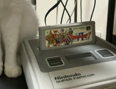 ゲーム機に近づく猫の写真