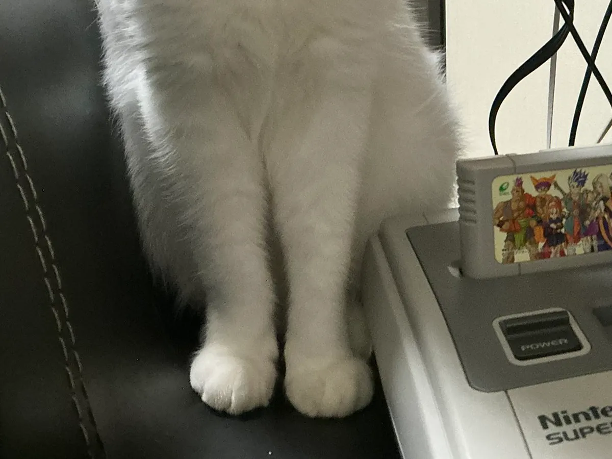 ゲーム機に近づく猫の写真