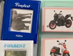 ミニ図鑑の写真