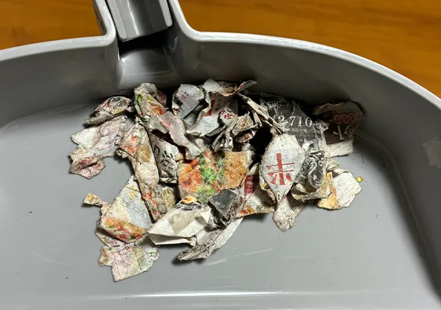 不要なチラシを使った掃除方法（撮影：grape編集部）