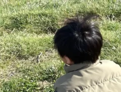 『芝生と男の子の後ろ姿』の写真（撮影：エニママ）