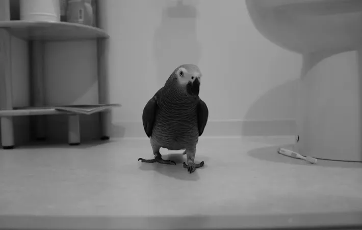 fatboyandteriyakibirdさんの投稿写真