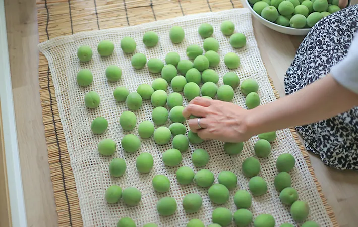 梅の手仕事をする写真