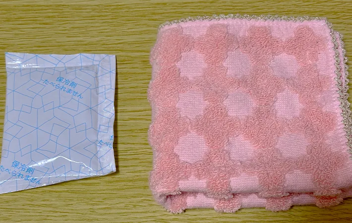 保冷剤の画像（撮影：grapeライフハック編集部）