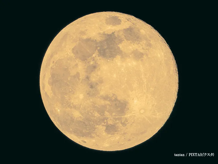 満月の画像