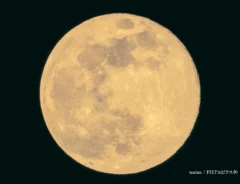 満月の画像