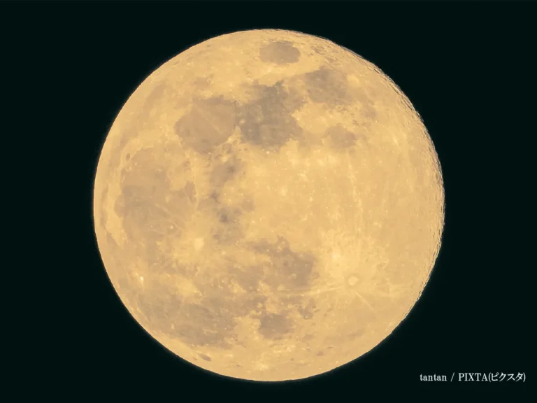 満月の画像
