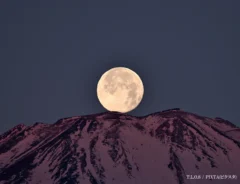 満月の画像
