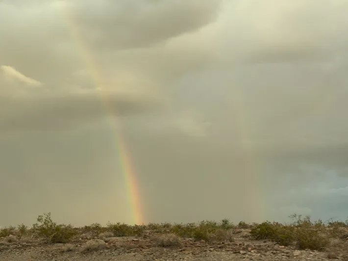 虹の写真（撮影：grape編集部）