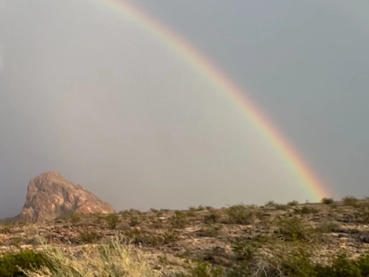 虹の写真（撮影：grape編集部）