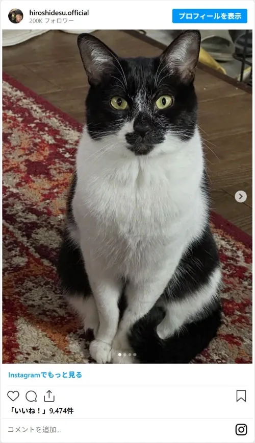 ヒロシさんの愛猫の写真（hiroshidesu.officialのスクリーンショット）