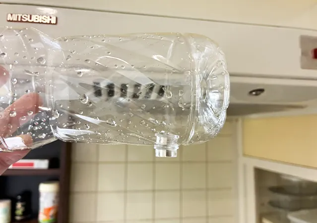 マグネットを使ったペットボトルの乾燥（撮影：grape編集部）