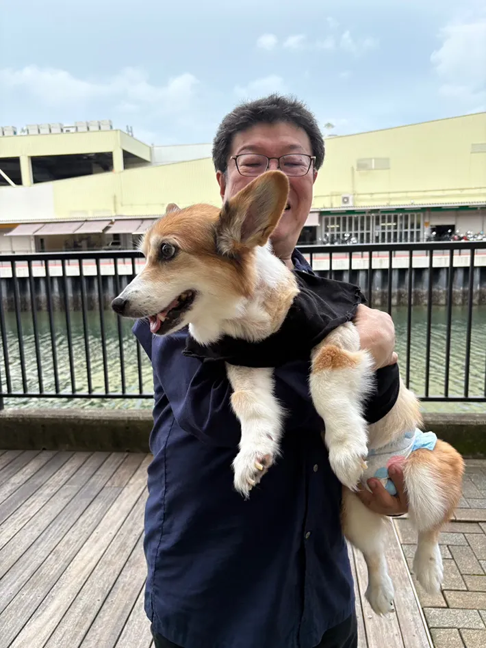 飼い主に抱きかかえられるコーギーの写真