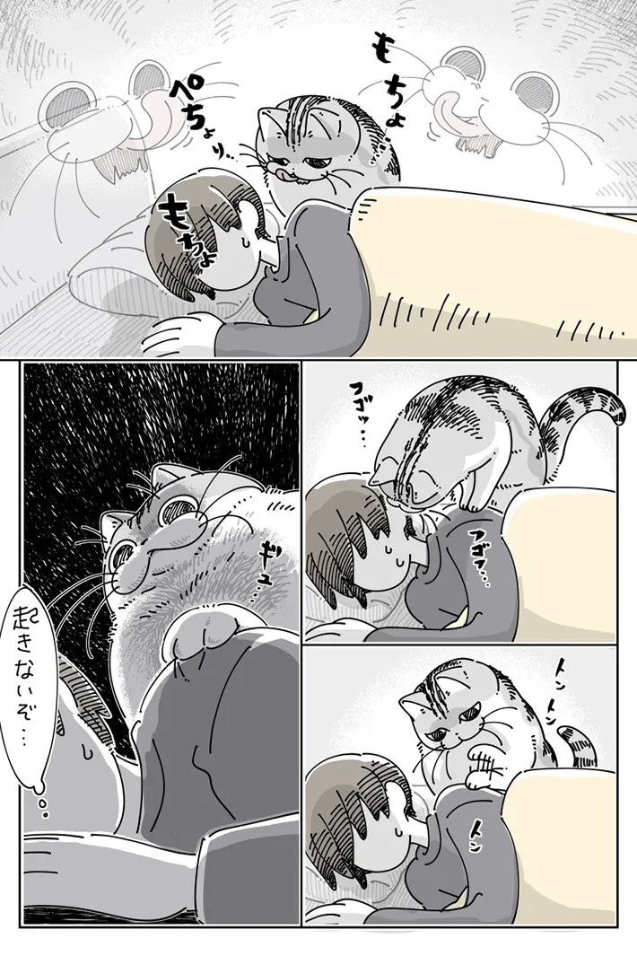キュルZさんの漫画の画像
