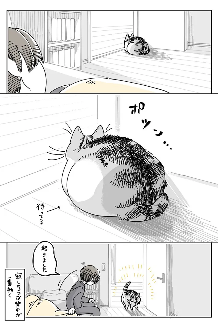 キュルZさんの漫画の画像