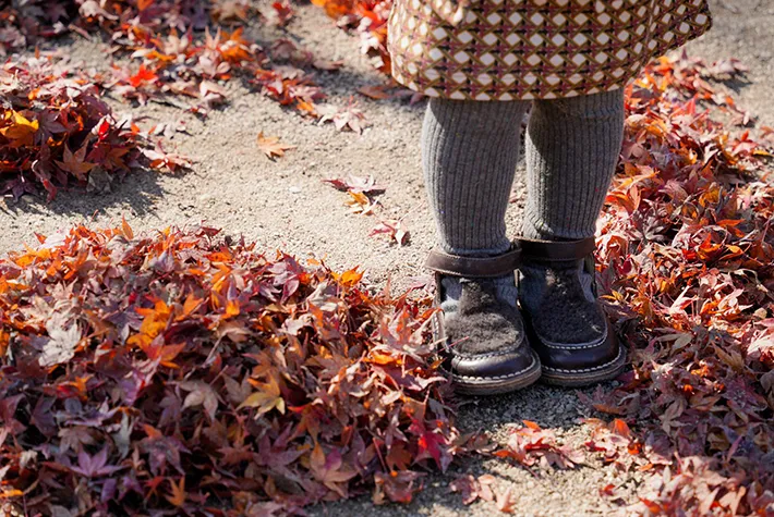 紅葉で作られたアンパンマンの画像