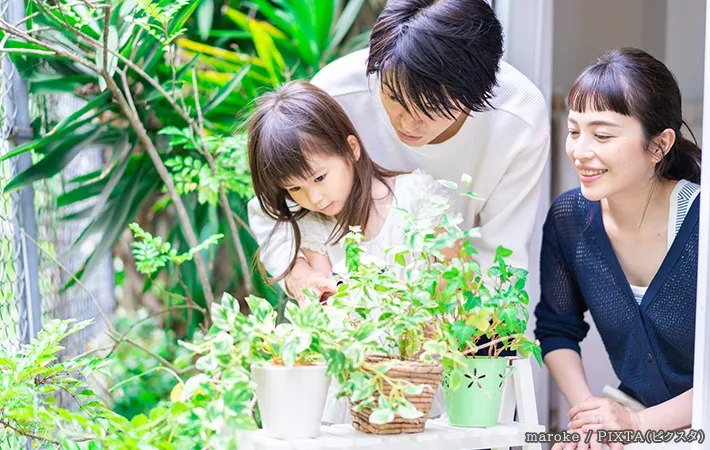 ガーデニングをする親子の写真