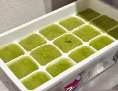 『抹茶ミルク シャーベット』を作る写真（撮影：キジカク）