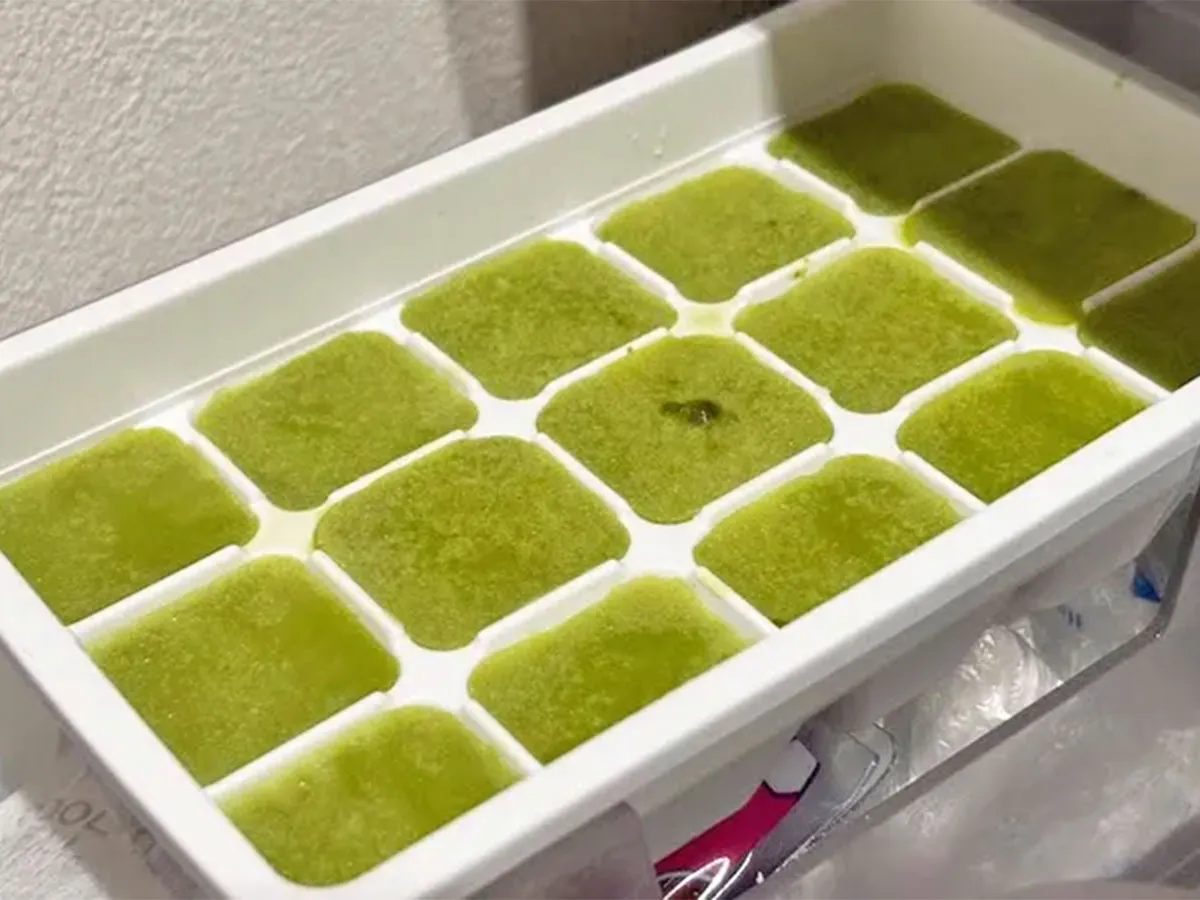 『抹茶ミルク シャーベット』を作る写真（撮影：キジカク）