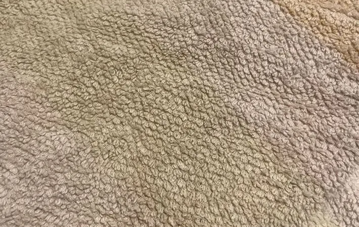 『タオルの繊維』の写真（撮影：Heulie）