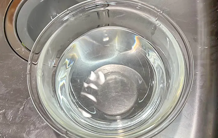 用意したお湯の写真（撮影：キジカク）