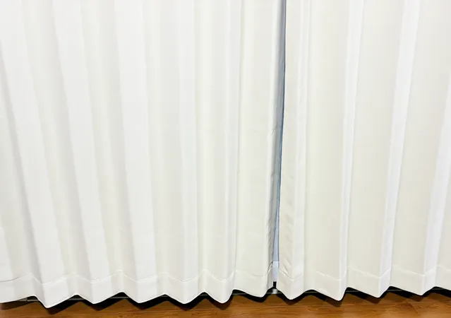 カーテンの写真（撮影：grape編集部）