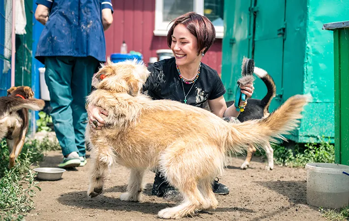 犬と女性の写真