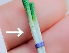 白ネギのミニチュア作品