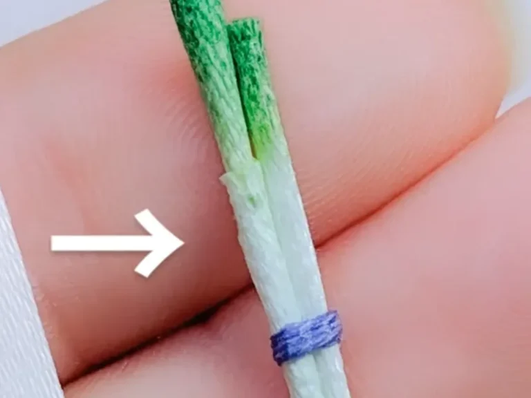 白ネギのミニチュア作品