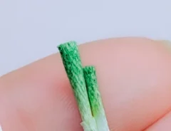 白ネギのミニチュア作品