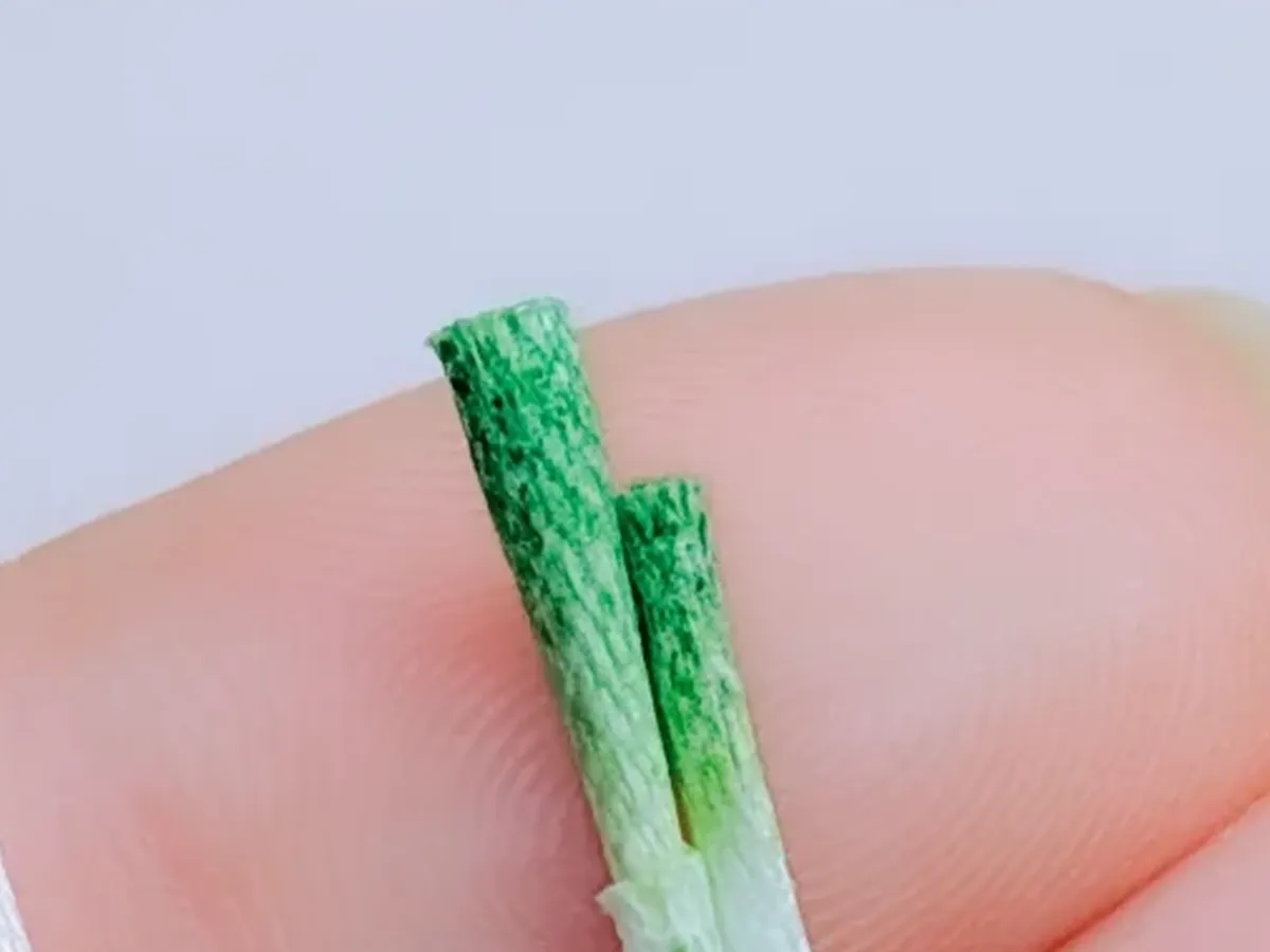 白ネギのミニチュア作品