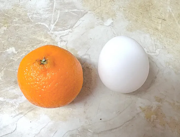 マンダリンと卵の写真（撮影：grape編集部）