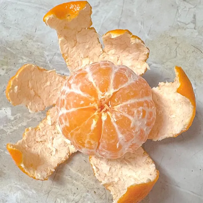 マンダリンの写真（撮影：grape編集部）