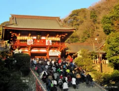 『初詣』の写真