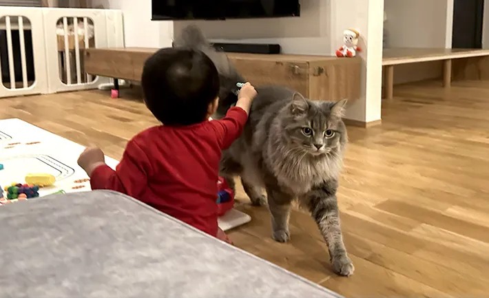 子供と猫