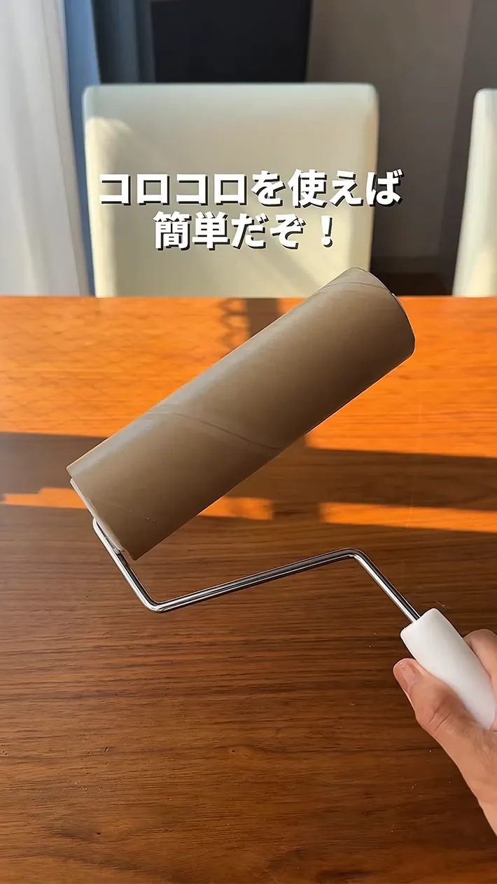 粘着カーペットクリーナーを手にする写真