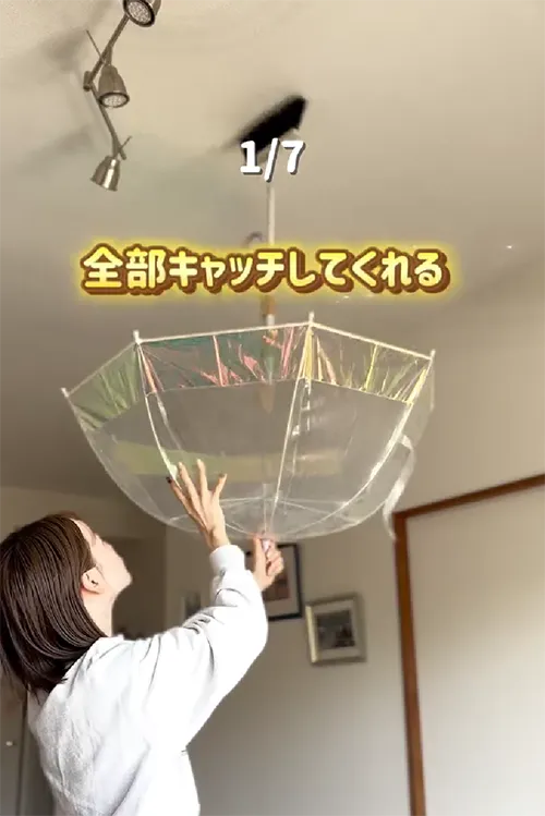 傘を逆さまに持っている人の画像