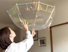 傘を逆さまに持っている人の画像