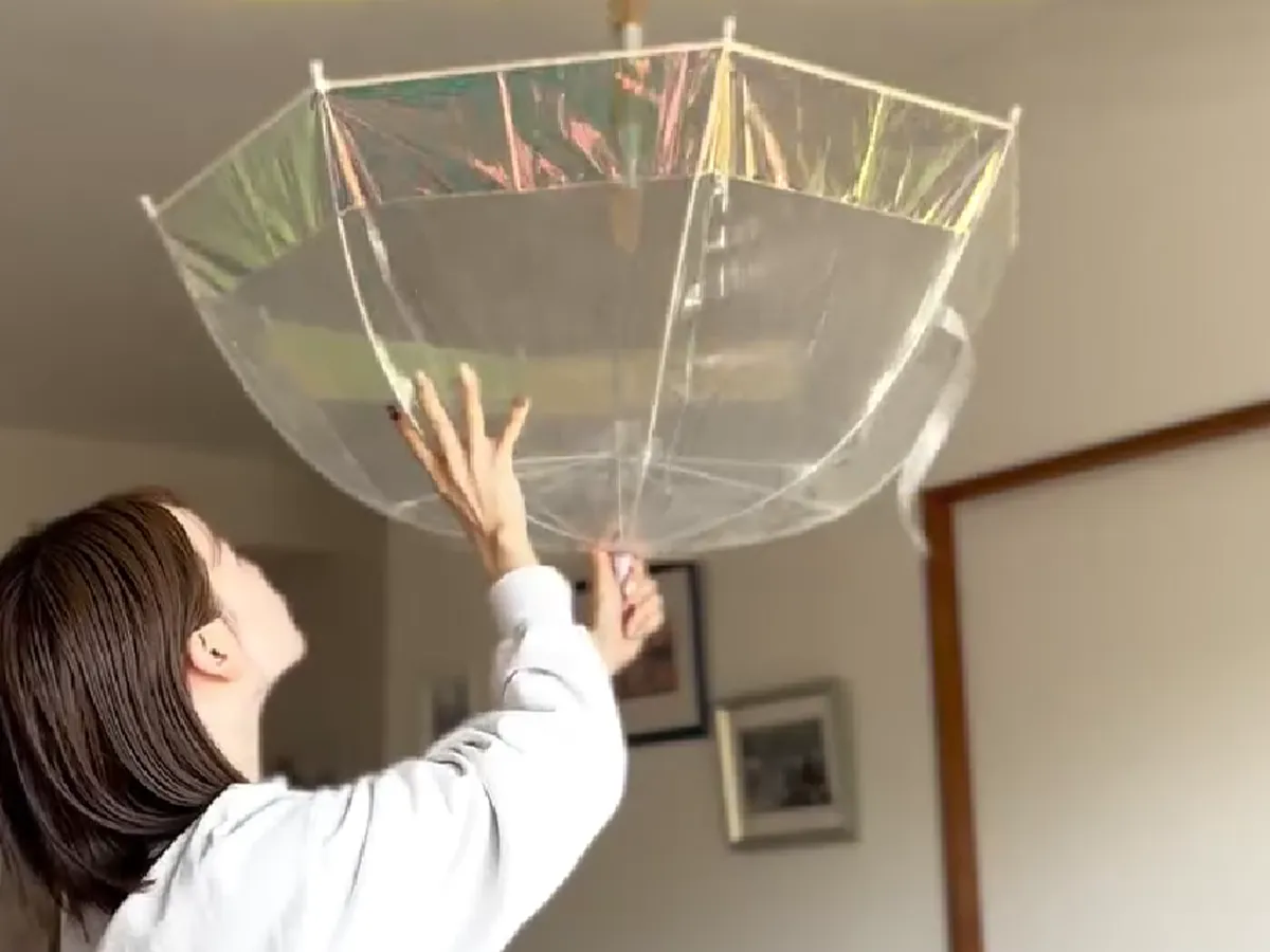 傘を逆さまに持っている人の画像