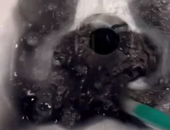 絵の具道具の洗い方の画像