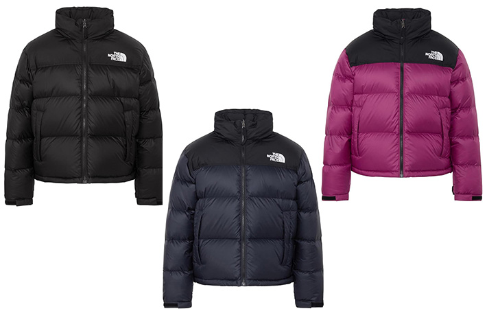 ノースフェイスの画像