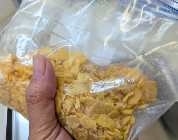 ささみにコンフレークをつけている写真（撮影：grape編集部）