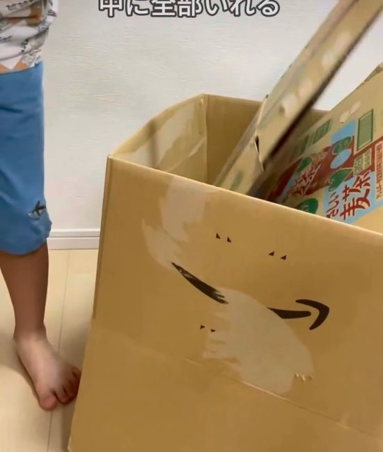 ダンボールをまとめる様子