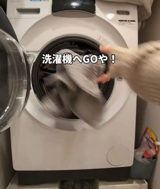 バスマットを洗濯機に入れる様子