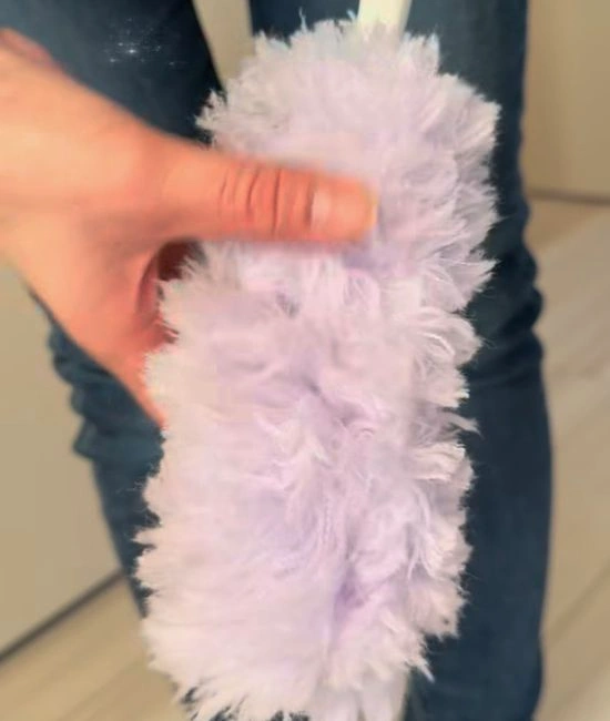 きれいなモップ