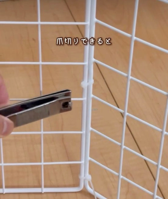 爪切りでカットする様子