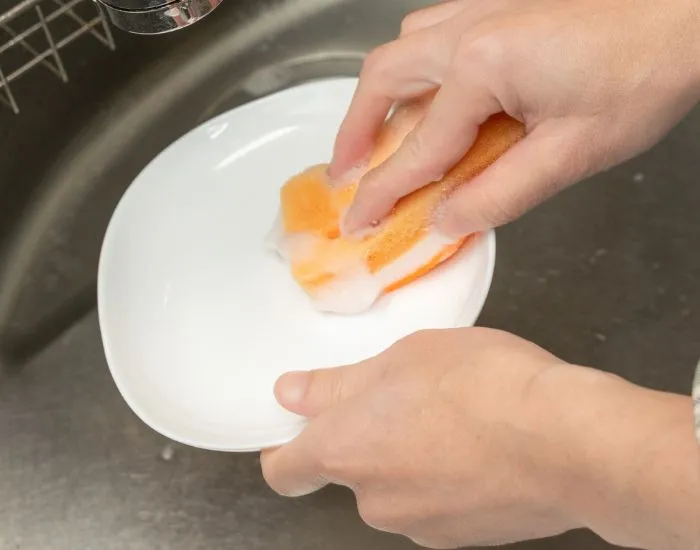 皿を洗っている様子