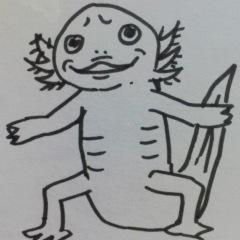 関口かんこの写真